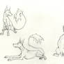 Coyote - Poses