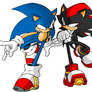 Sonic and Shadow