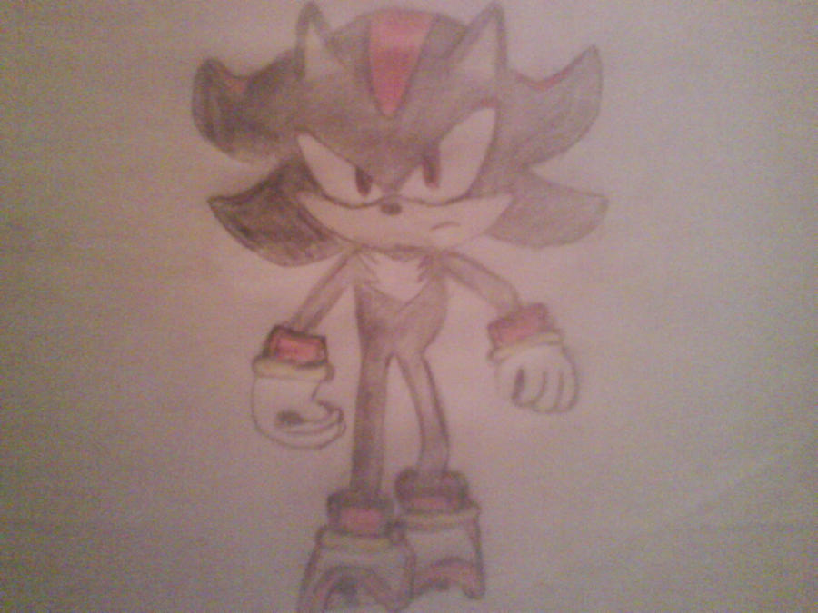 Toonsite Shadow Shadow the Hedgehog by thesweetlolita on DeviantArt