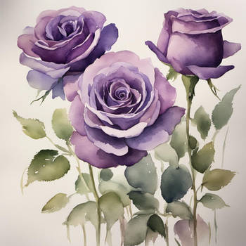 Lavender Roses