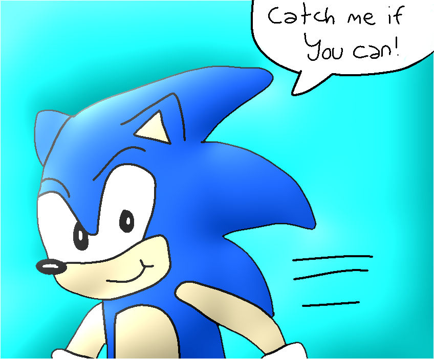 Sonic Catch Can