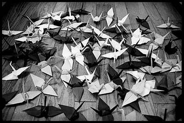 Paper Cranes