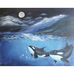 orcas under the moonlight 