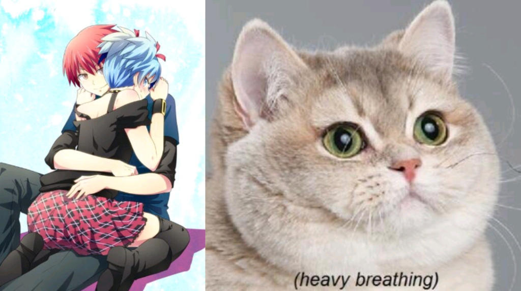 Karma X Nagisa meme