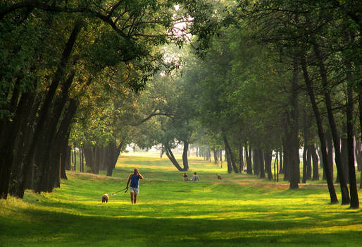 Evening park