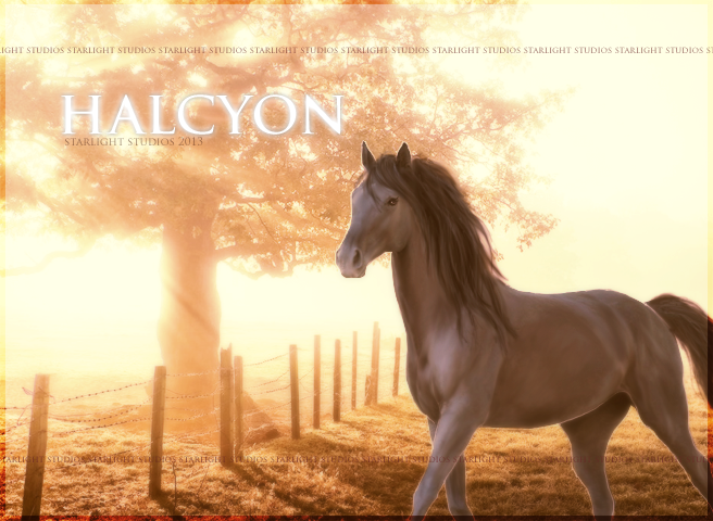 Halcyon