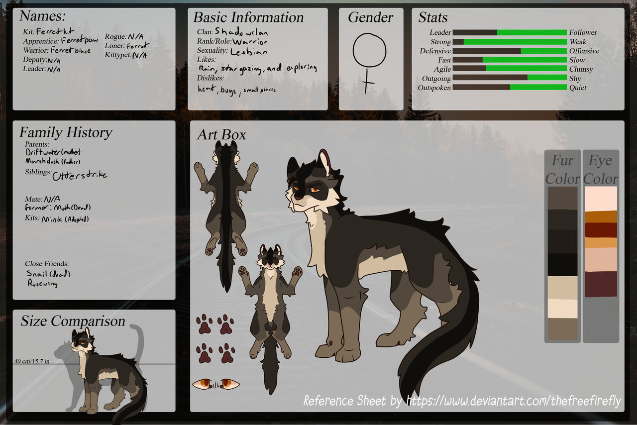 Ferret ref sheet by Snail235 on DeviantArt
