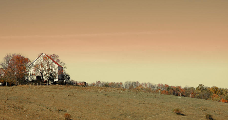 The Sun Had a Paint Brush