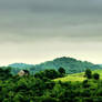 Hilltop Meadows and Mist