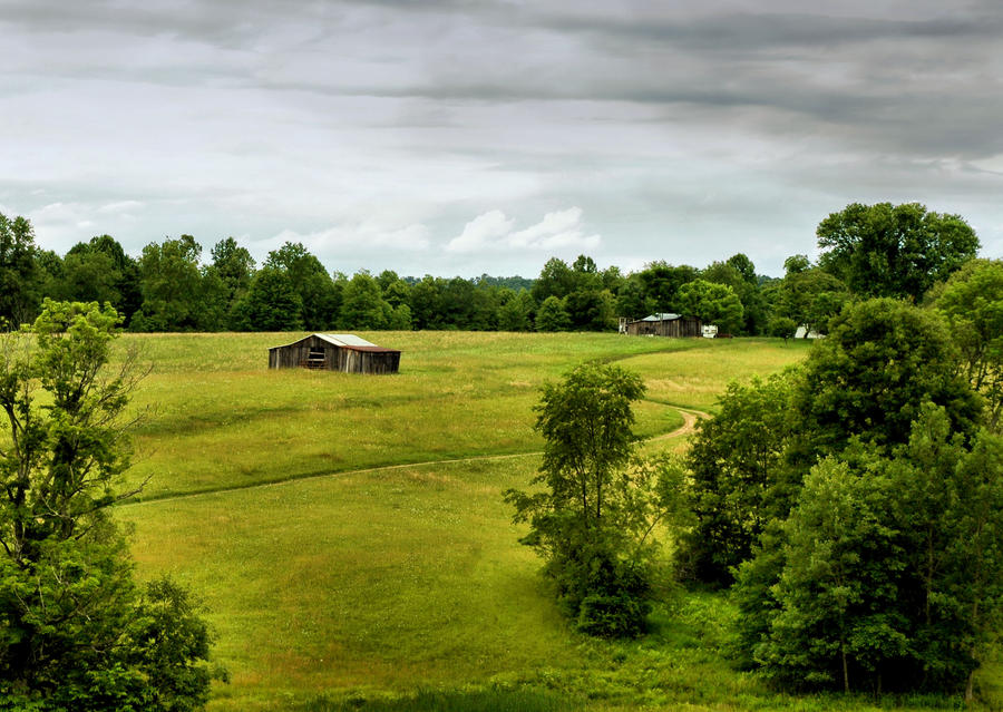 Winding Through Fields