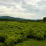 Canaan Valley