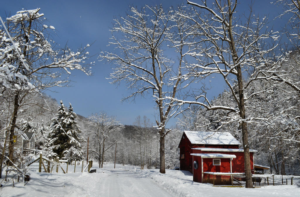 The Bright Winter Morning