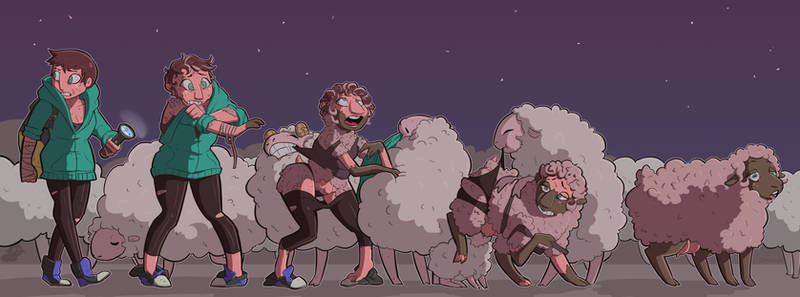 CMSN - Counting sheep