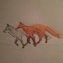 Watercolour Fox