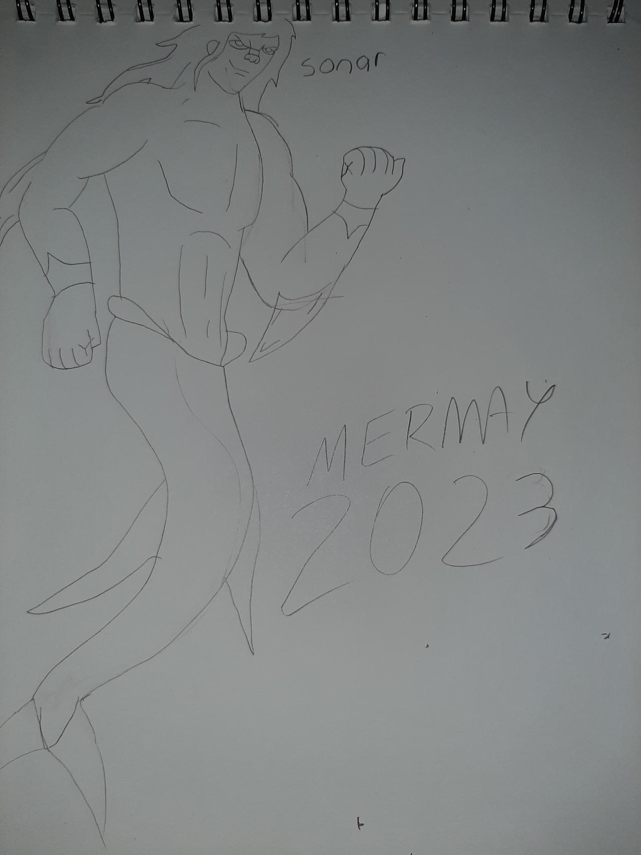 Mermaid 2023 - Sonar
