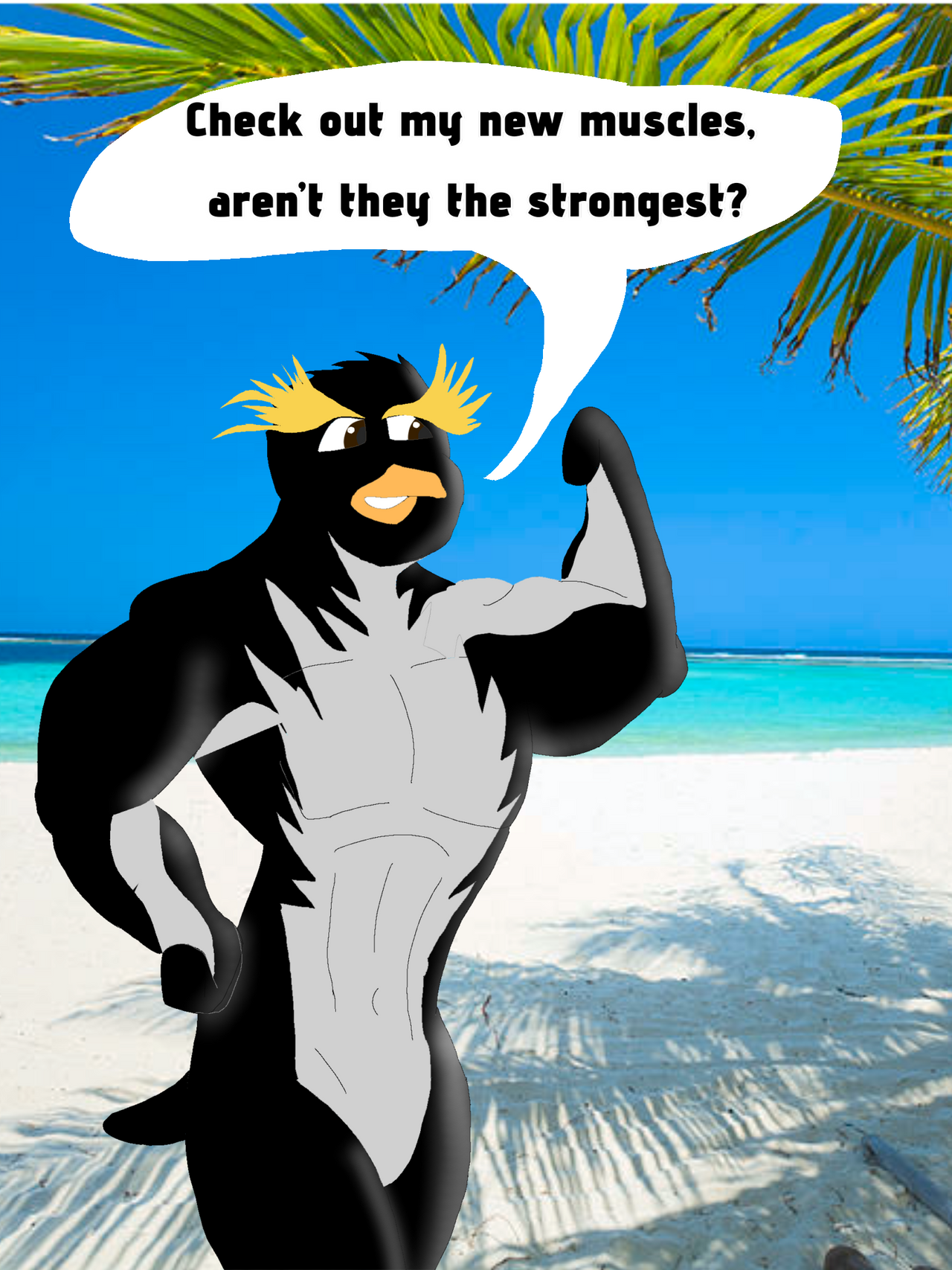 Cody Ripped up for the surf