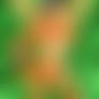 Smolder Chestbeat NSFW