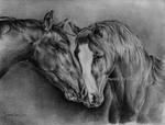 HORSES by blanket86