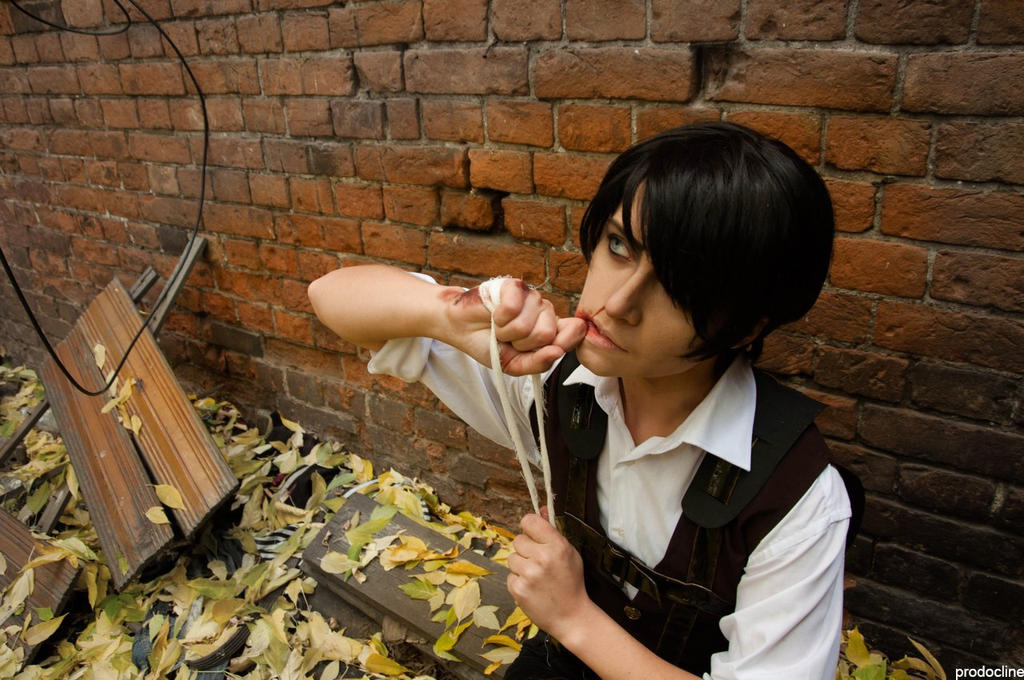 Shingeki no Kyojin: Kuinaki Sentaku by Diyaco on DeviantArt