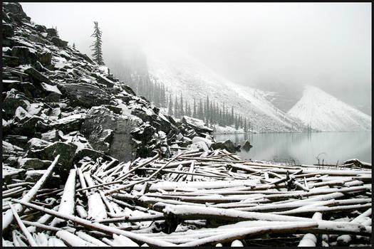 Lake Morraine Logpile