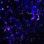 Light Texture