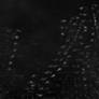 Abstract Texture