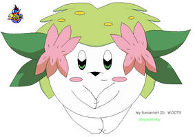 Shaymin-Kirby ID