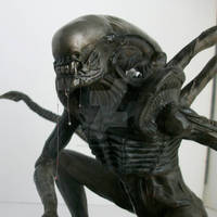 xenomorph, my version 1/5 scale