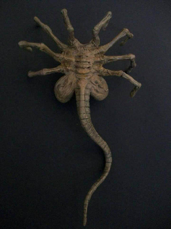 Alien Face hugger by darrengodzilla on DeviantArt