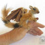 OOAK Poseable Furry Ringtailed Dragon