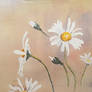 Marguerites, watercolor