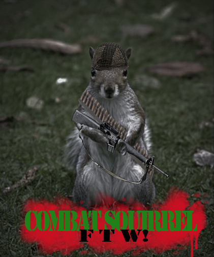 Combat Squirrel