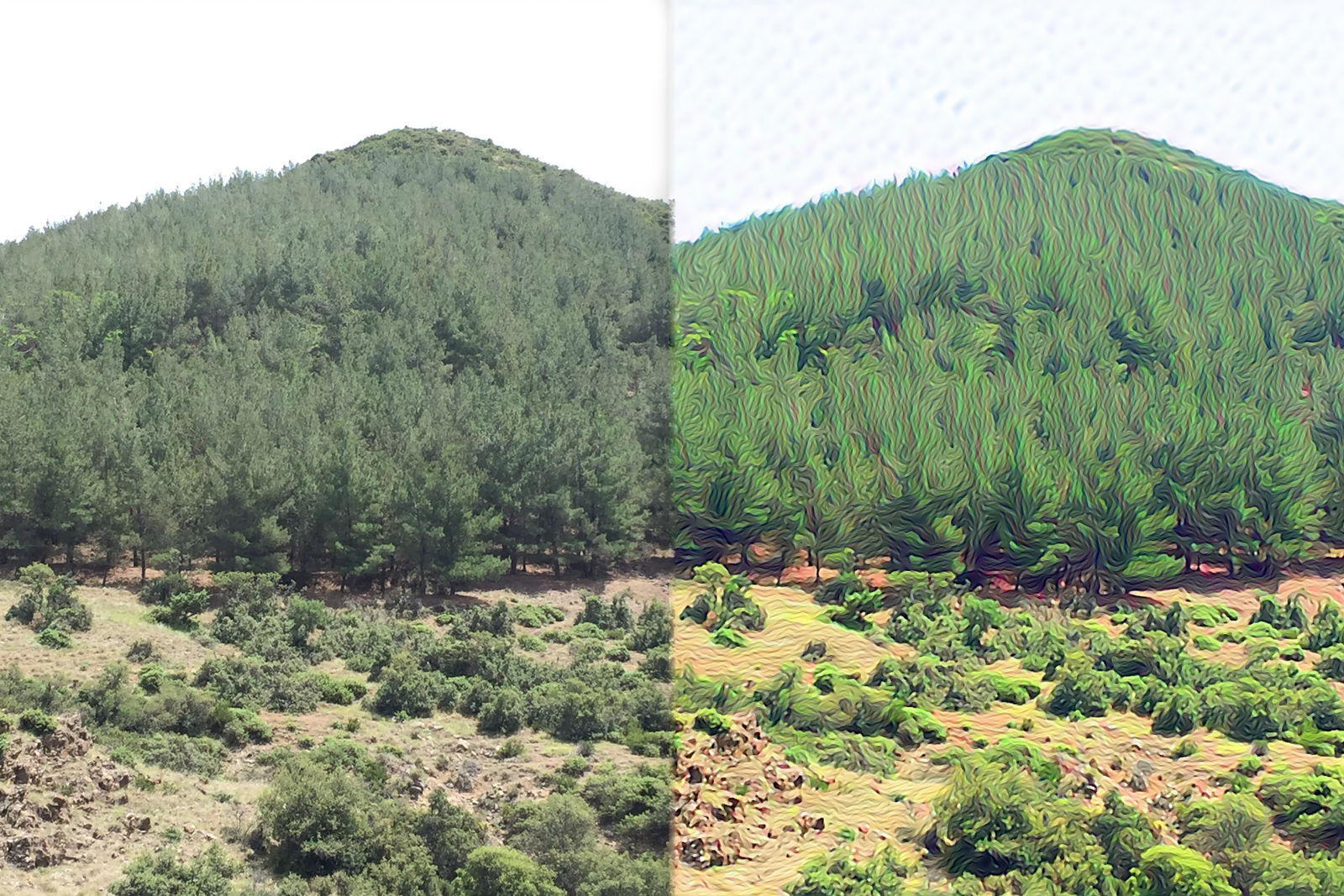 True Visual Effects of LSD by johnarcheus on DeviantArt