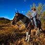 A Cowboy and His Horse