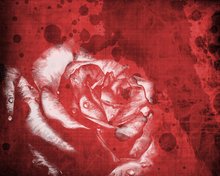 Blood Red Rose by Treckaaa on DeviantArt