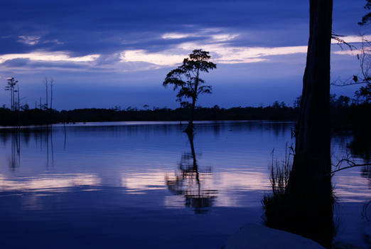 West Landing Marina Sunset 1