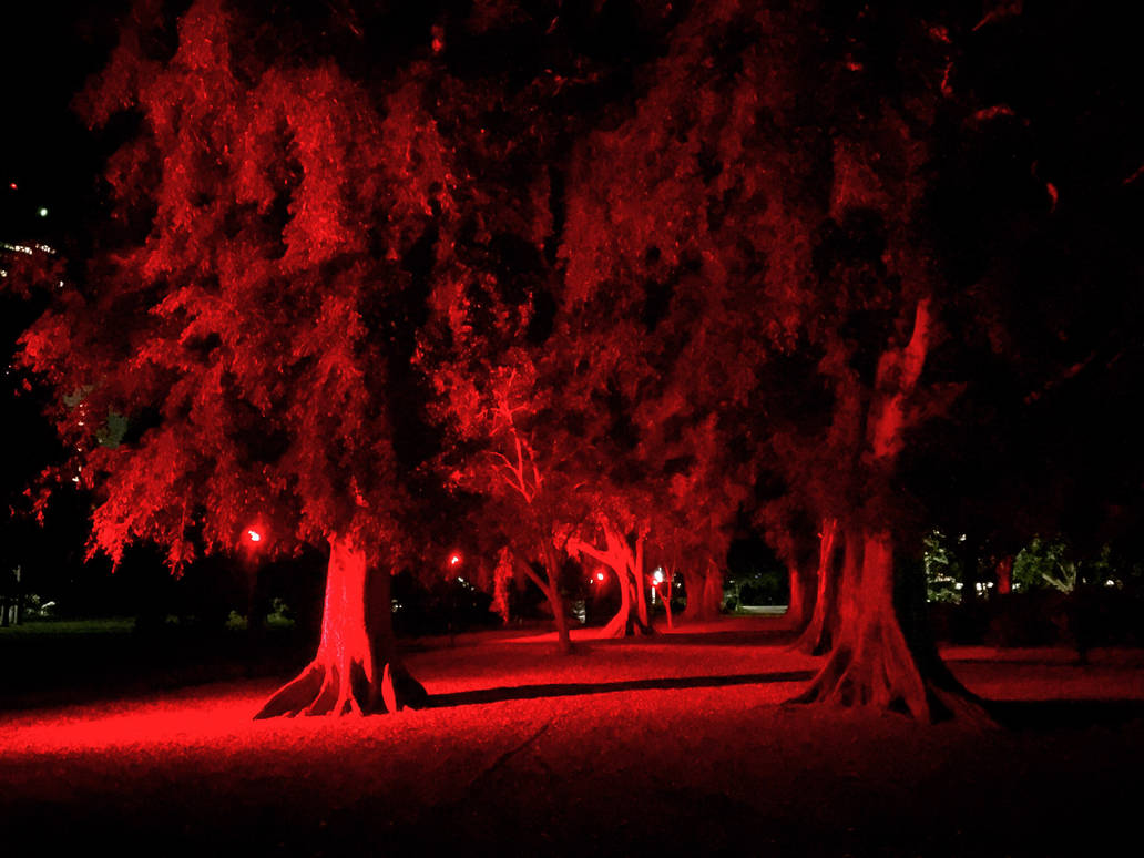 Red gardens by Noxii91 on DeviantArt