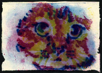 Carborundum - Kitty