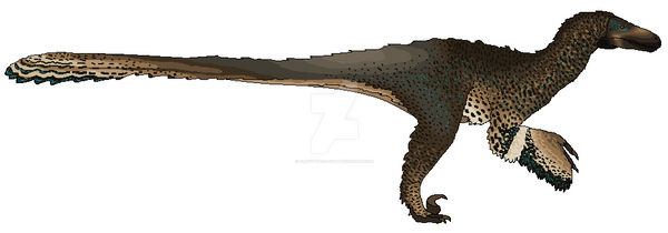 Dko Raptor Dakotaraptor concept (maybe) by Fluffy-Taco-1324 on DeviantArt