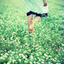 Strawberry Fields 2