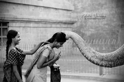 Elephant Blessing