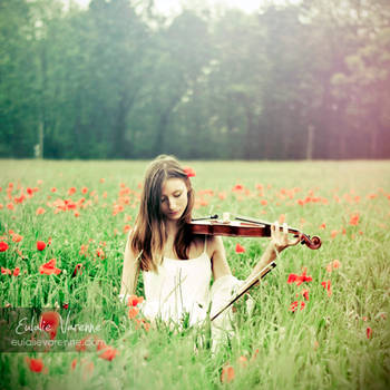 Field Song by eulalievarenne