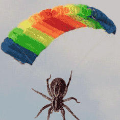 Parachuting Wolves wolf spider parachuting by Linden-Rathen on DeviantArt