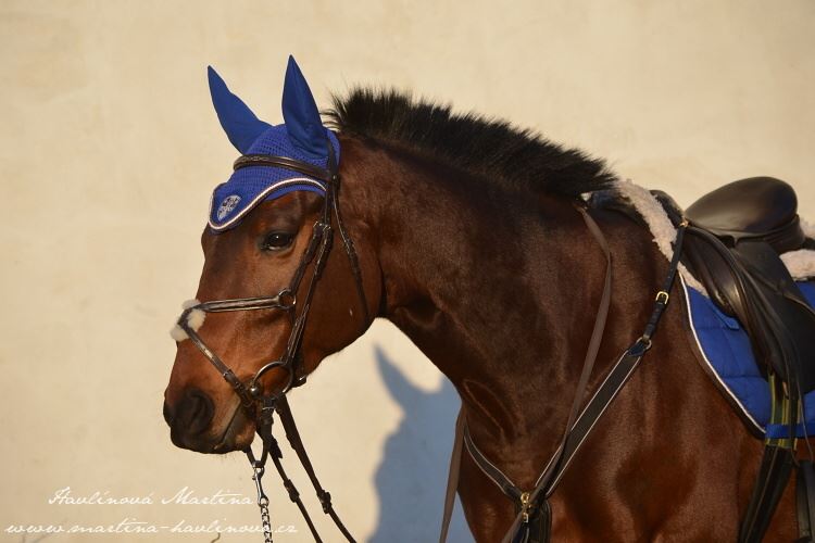 Stormy Groom (GER)