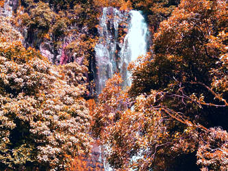 Autum Falls