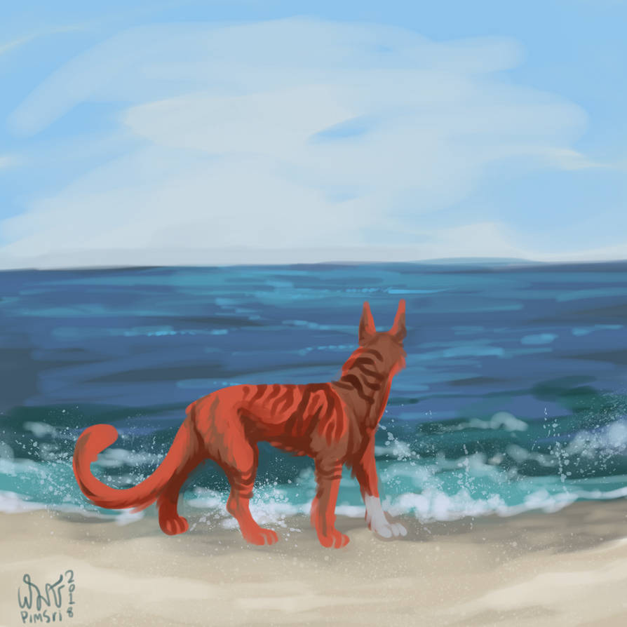 Solstice Entry Solstice Entry by PimsriARPG on DeviantArt