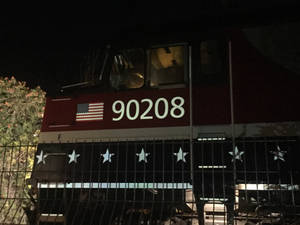 Amtrak Veterans CABBAGE 90208