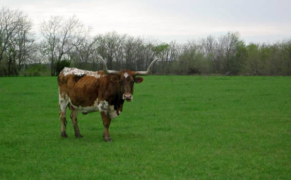 Outstanding in His Field