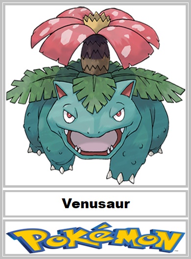 Venusaur by EduBaruk on DeviantArt