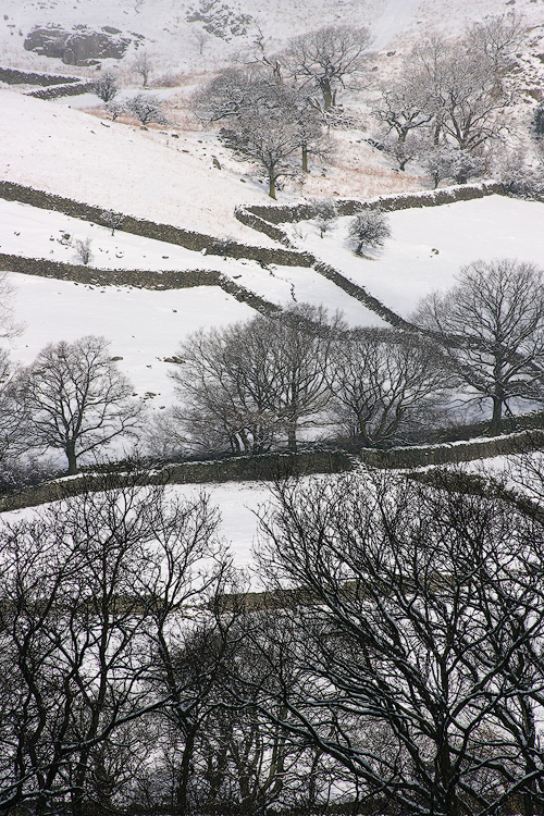 Dry Stone Walls